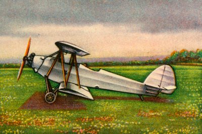 Raab-Katzenstein RK.9 Grasümcke Flugzeug, 1920er Jahre von Unbekannt