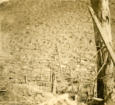 Schlucht bei Les Éparges, Nordfrankreich, um 1914-1918 von Unbekannt