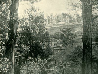 Szene in Upper Gembrook, Victoria, 1901 von Unbekannt