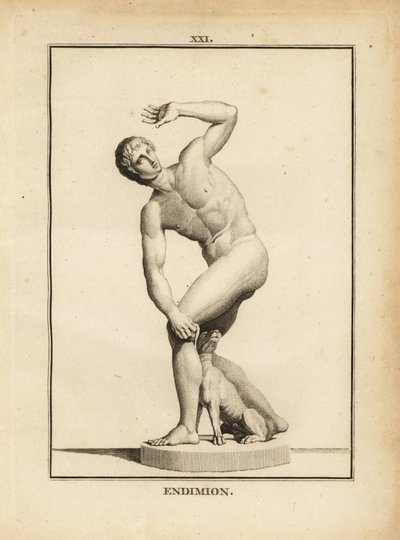 Statue des Endymion, Griechischer Hirte von Unbekannt