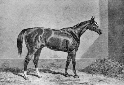 Stockwell, 1849-1871, 1911 von Unbekannt