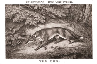 Der Fuchs, 1924 von Unbekannt