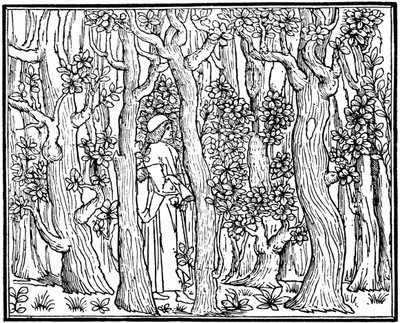 Der Liebhaber im Wald, 1499 von Unbekannt