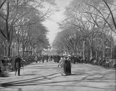 The Mall, Central Park, New York von Unbekannt