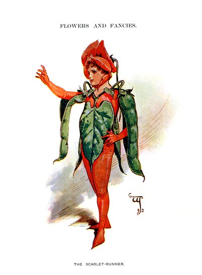 Der scharlachrote Läufer, 1899 von Unbekannt