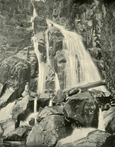 Die Wellington-Fälle, Mount Wellington, 1901 von Unbekannt