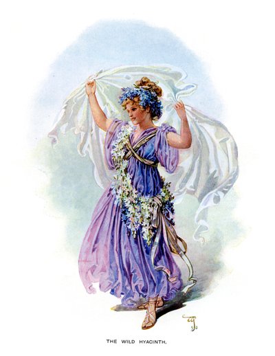 Die wilde Hyazinthe, 1899 von Unbekannt