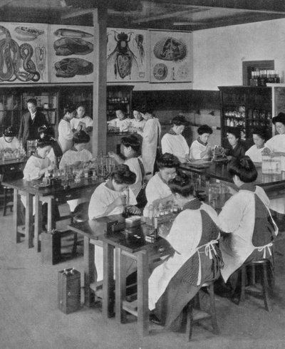 Die höhere Bildung der Frauen in Japan, 1910 von Unbekannt