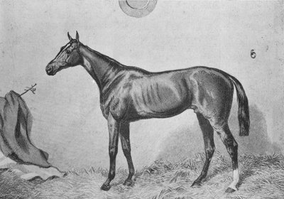 Thormanby, ca. 1860, 1911 von Unbekannt