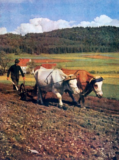 Tilling, Deutschland, 1943 von Unbekannt