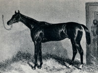 Tim Whiffler, um 1860er, 1911 von Unbekannt