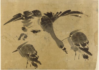 Zwei Reiher und eine Gans von Unbekannt