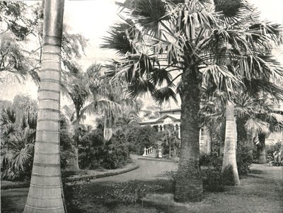 Typischer hawaiianischer Hof, Honolulu, USA, 1895 von Unbekannt