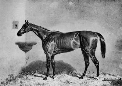 Virago, 1851-1869 von Unbekannt