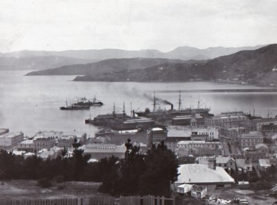 Wellington Harbour, spätes 19. - frühes 20. Jahrhundert von Unbekannt