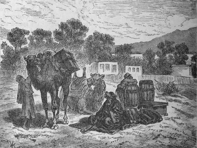 Brunnen des Moses, in der Nähe von Suez, ca. 1882 von Unbekannt