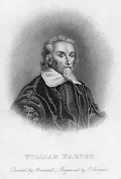 William Harvey, englischer Arzt, 17. Jahrhundert von Unbekannt