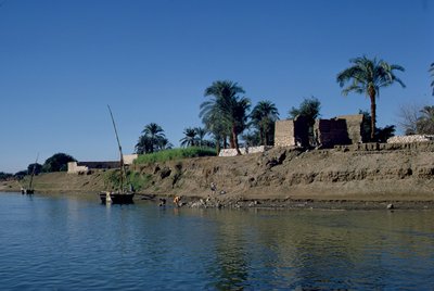 Ufer des Nils von Unbekannt