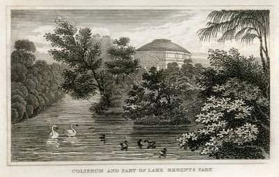 Kolosseum und See, Regent