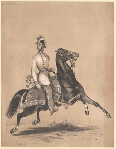 Kaiser von Österreich Franz Joseph I. von Unbekannter Künstler