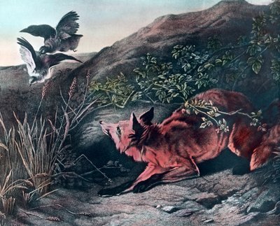Fuchs von Unbekannter Künstler