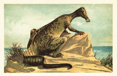 Trachodon mirabilis, ausgestorbener Hadrosaurier. 1908 (Lithografie) von Unbekannter Künstler