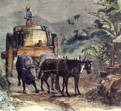Transport von Rum von Unbekannter Künstler