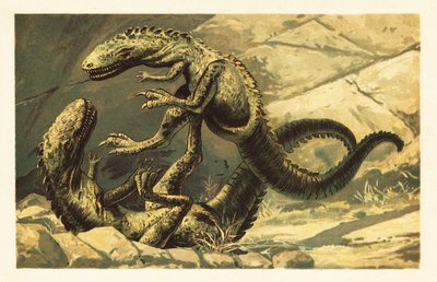 Zwei kämpfende Dryptosaurus aquilunguis. 1908 (Lithografie) von Unbekannter Künstler