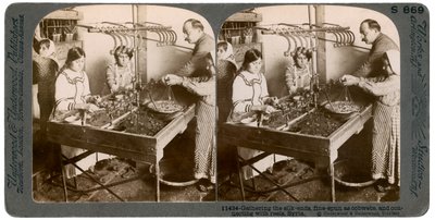 Seidenherstellung, Syrien, 1900er Jahre von Underwood and Underwood