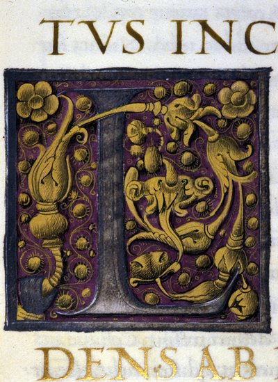 Alphabet: miniaturisierter Buchstabe L von Unknown artist