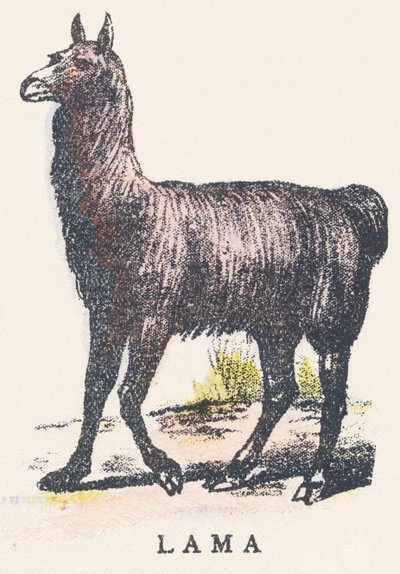 L: Lama von Unknown artist