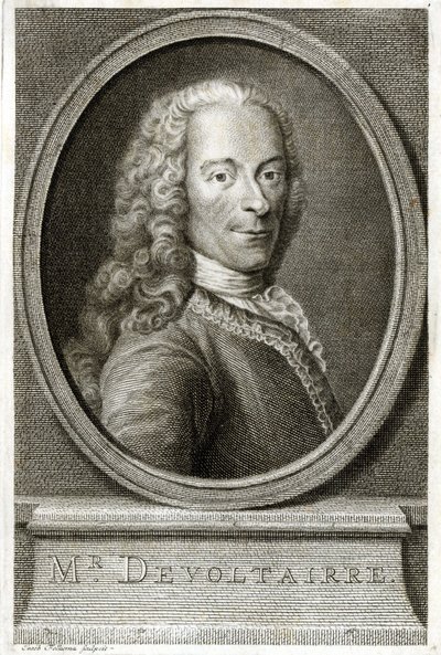 Porträt von Voltaire. Gravur aus dem 19. Jahrhundert von Unknown artist