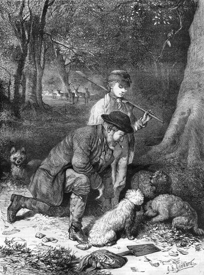 Die Trüffel. Gravur von 1870. von Unknown artist