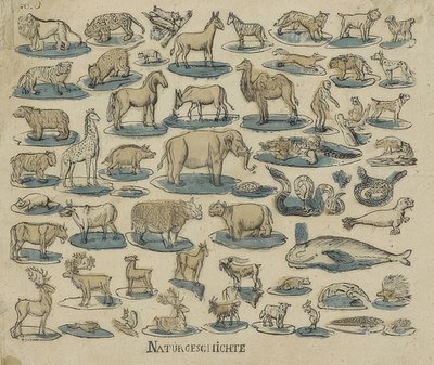 Tiere von Unknown