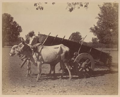 Landwirtschaftlicher Wagen, Guzerat von Unknown artist