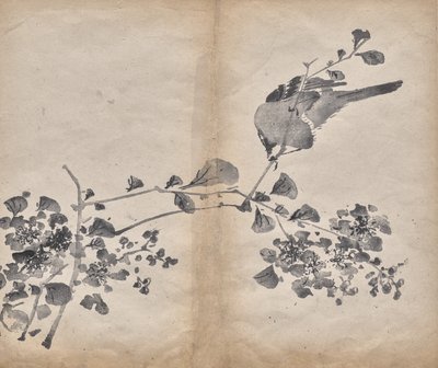 Blüten von Unknown artist