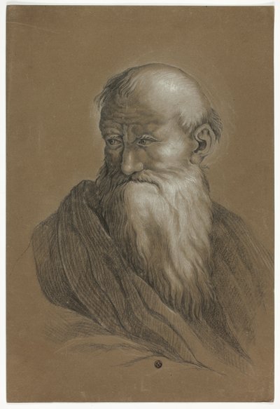 Büste eines bärtigen alten Mannes von Unknown artist
