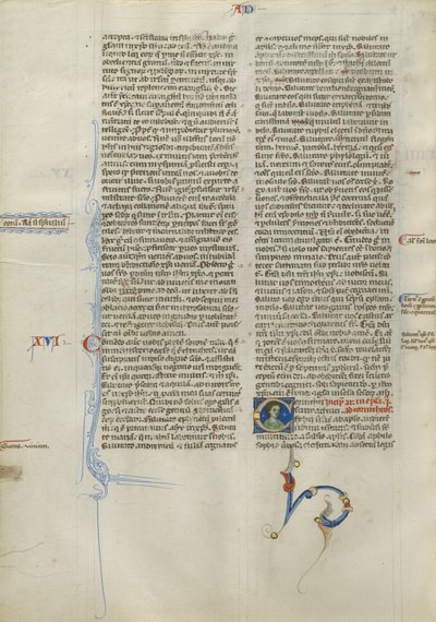 Geschmückte Initiale C von Unknown artist
