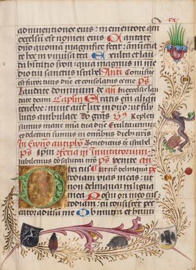 Geschmückte Initiale D von Unknown artist