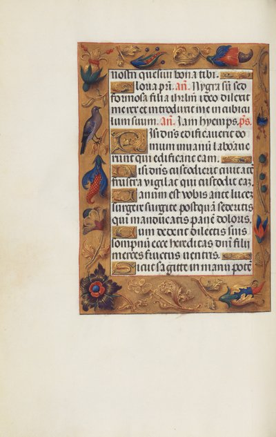 Geschmückte Textseite von Unknown artist