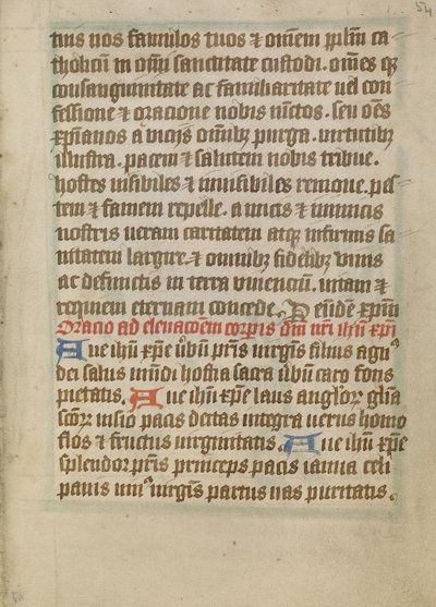 Dekorierte Textseite von Unknown artist