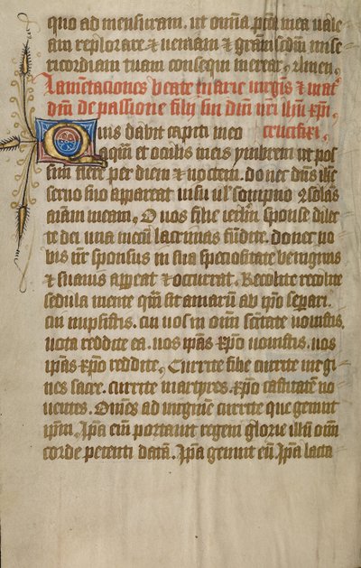 Geschmückte Textseite von Unknown artist
