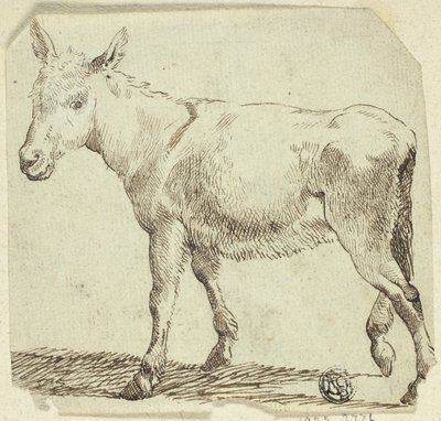 Esel von Unknown artist