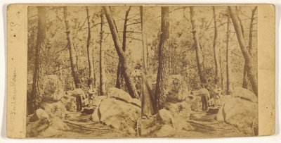 Fontainebleau von Unknown artist