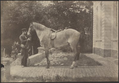 [Pferd und Mann] von Unknown artist