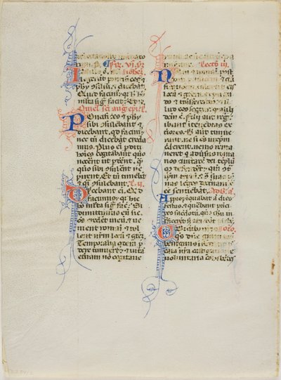 Illuminierte Manuskriptseite von Unknown artist