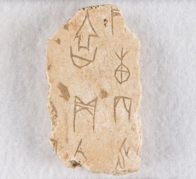 Beschriftetes Knochenfragment ("Orakelknochen") von Unknown artist