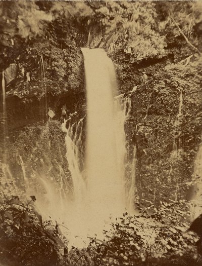 Japanischer Wasserfall von Unknown artist