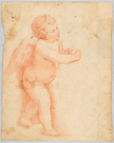 Putto macht einen Knoten von Unknown artist