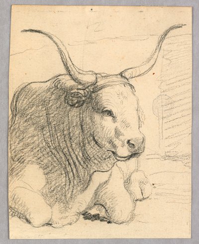Studie: eine liegende Kuh von Unknown artist